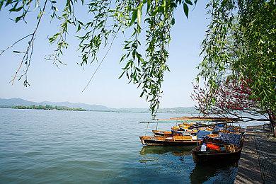 《幻兽帕鲁》全平台玩家已经超过了3200万人